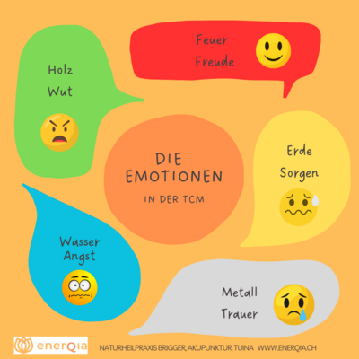 Die 7 Emotionen in der Traditionellen Chinesischen Medizin (TCM)