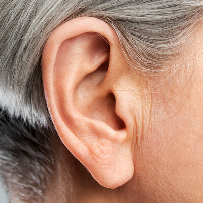 Ohr-Akupunktur/Aurikulotherapie  Unser Ohr, ein Mikrosystem unseres Körpers